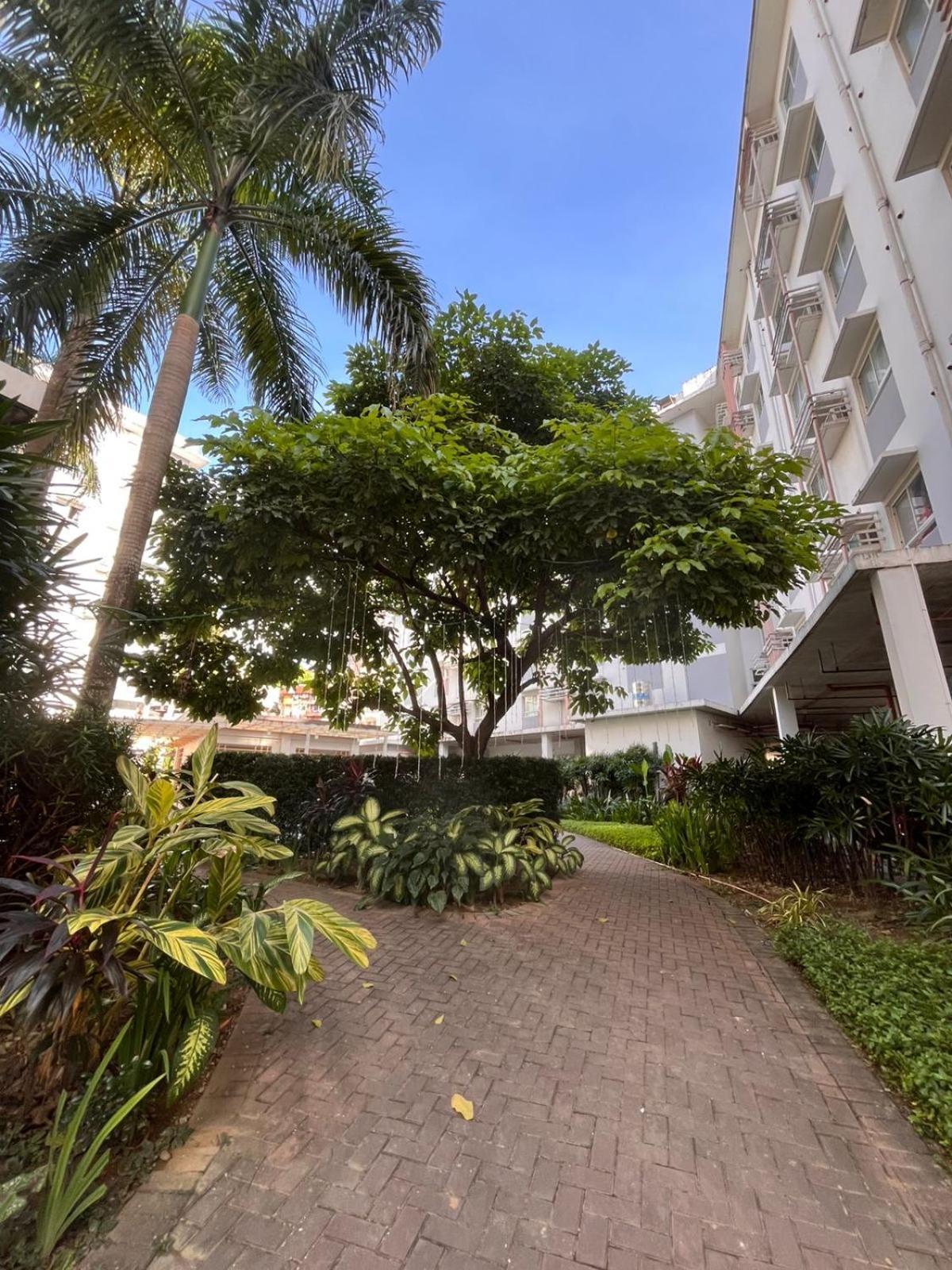 Summum Bonum Bliss - Lahug Aparthotel Cebu Kültér fotó